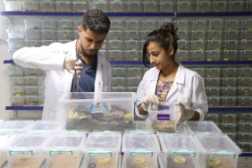 13-35-23-6315_dhaphoto9