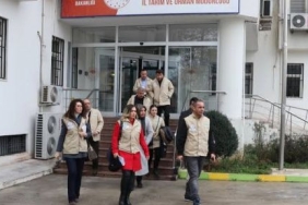 kedi-ve-kopek-sahiplerinin-dikkatine_505b0