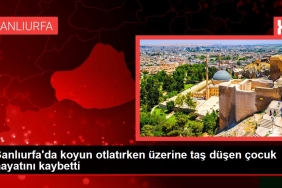 Şanlıurfa gündem haberi... Şanlıurfa'da koyun otlatırken üzerine taş düşen çocuk hayatını kaybetti