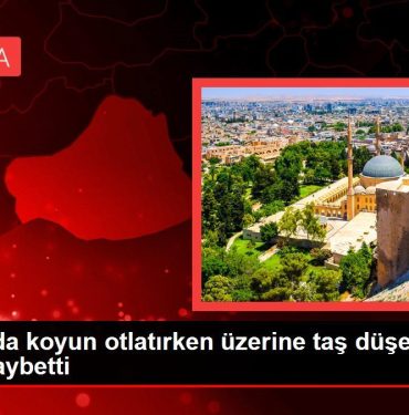 Şanlıurfa gündem haberi... Şanlıurfa'da koyun otlatırken üzerine taş düşen çocuk hayatını kaybetti