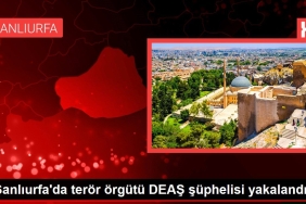 Şanlıurfa haberleri: Şanlıurfa'da terör örgütü DEAŞ şüphelisi yakalandı