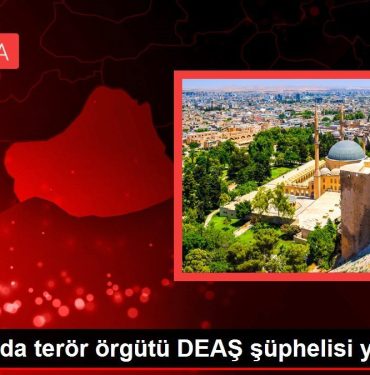 Şanlıurfa haberleri: Şanlıurfa'da terör örgütü DEAŞ şüphelisi yakalandı