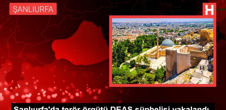 Şanlıurfa haberleri: Şanlıurfa'da terör örgütü DEAŞ şüphelisi yakalandı