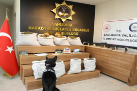 sanliurfa_da_safak_operasyonu_86_gozalti_h44279_82e0a