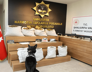 sanliurfa_da_safak_operasyonu_86_gozalti_h44279_82e0a