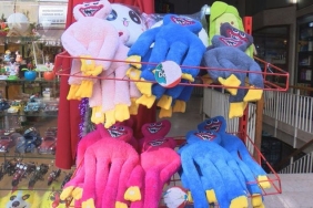 3528368_675f216979a96950c1d645ed57ffbb3b_640x640