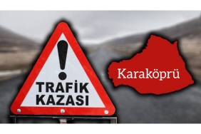 InShot_20221003_103346814