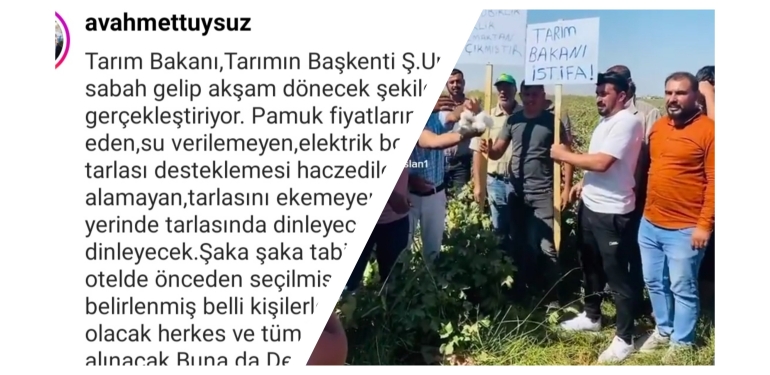 InShot_20221003_105623856