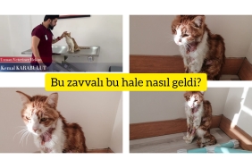 InShot_20221006_222921718