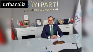 InShot_20221020_141353599