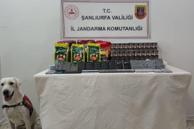 WhatsApp Image 2022-10-13 at 12.18.18