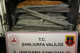 WhatsApp Image 2022-10-24 at 10.04.45