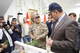 WhatsApp Image 2022-10-26 at 16.04.54 (4)