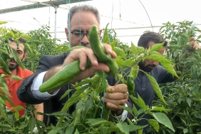 eyyubiye-sera-kent-10-hasat (5)