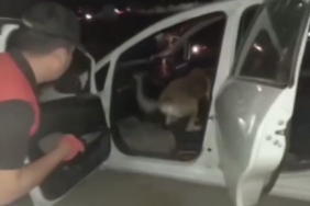 sanliurfada_sok_yol_uygulamasi_36_gozalti_h44429_13dfb