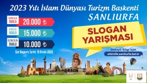 IMG-20221129-WA0044