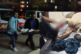 InShot_20221108_124128770