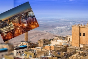 InShot_20221109_003620562