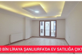 InShot_20221115_182811350