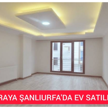 InShot_20221115_182811350