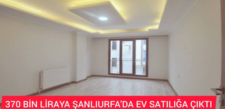 InShot_20221115_182811350