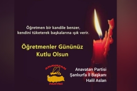 InShot_20221124_121839823