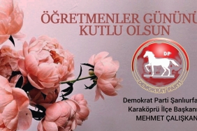 InShot_20221124_133510562