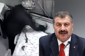 InShot_20221124_154047202