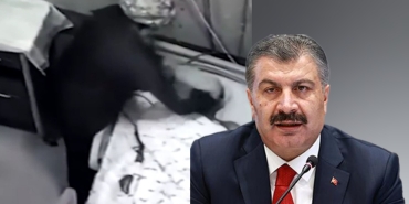 InShot_20221124_154047202