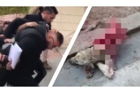 InShot_20221125_190021382