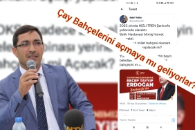 InShot_20221130_202447679