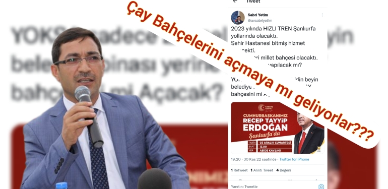 InShot_20221130_202447679