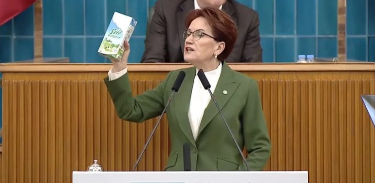 meral-aksener-3011-3ZDH_cover.jpg