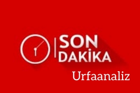 InShot_20221022_103300642