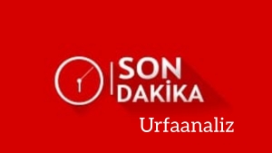 InShot_20221022_103300642