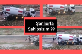 InShot_20221208_174900209