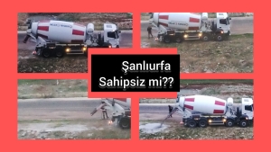 InShot_20221208_174900209