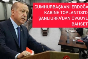 InShot_20221212_194655276