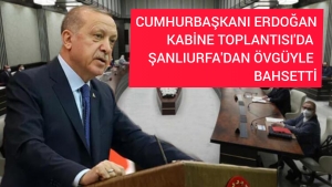 InShot_20221212_194655276