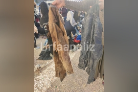 InShot_20221218_144144098