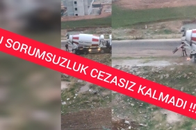 InShot_20221223_204722841