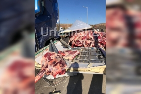 InShot_20221229_145649933