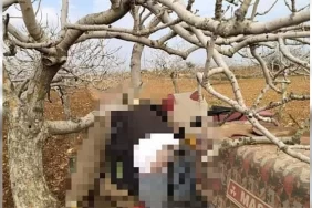 urfa-da-tarla-suren-ciftcinin-aci-sonu-3212