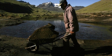 5ce5318d67b0a912a0365189