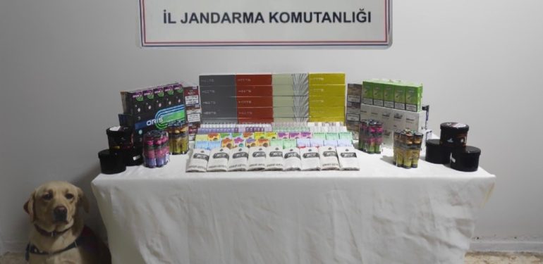 IMG-20230115-WA0022