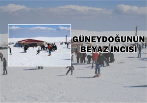 IMG-20230131-WA0065