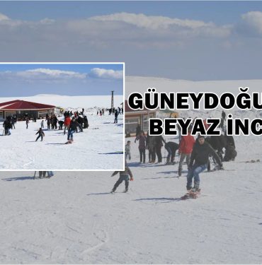 IMG-20230131-WA0065