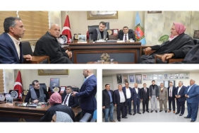 InShot_20230115_115436519