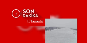 InShot_20230128_143141896