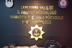 WhatsApp Image 2023-01-16 at 09.32.53